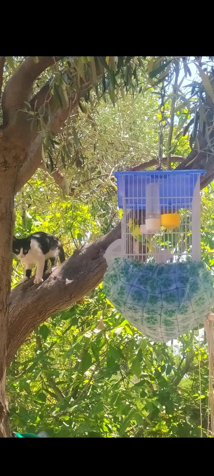 View Διαμερισμα Villa Loukissia Dış mekan fotoğraf
